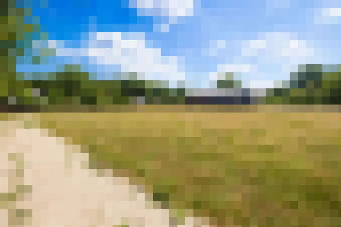 Heetkamp 16 Elspeet thumbnail 57