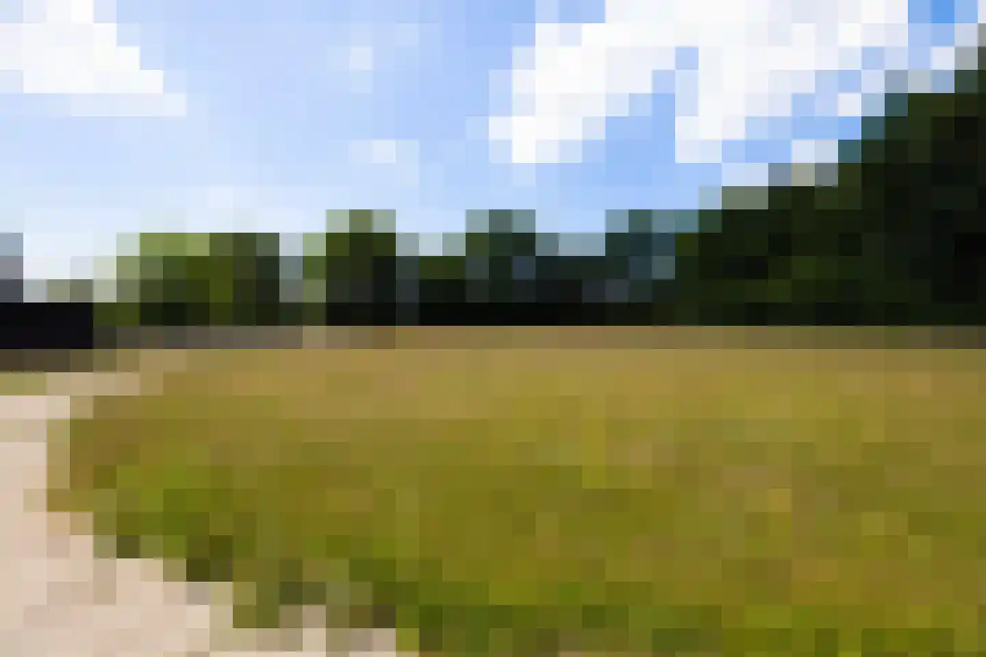 Heetkamp 16 Elspeet thumbnail 58