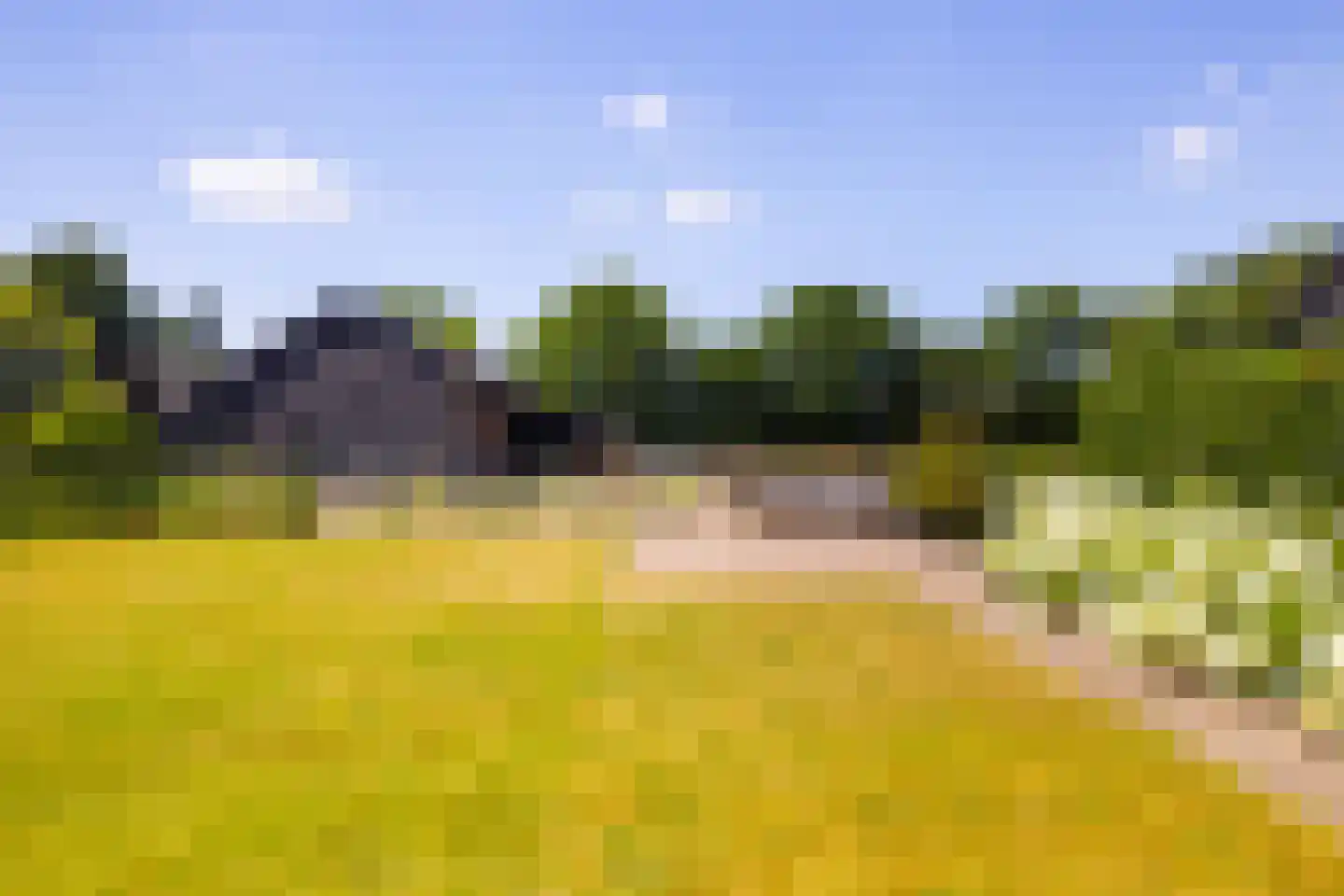 Heetkamp 16 Elspeet thumbnail 6