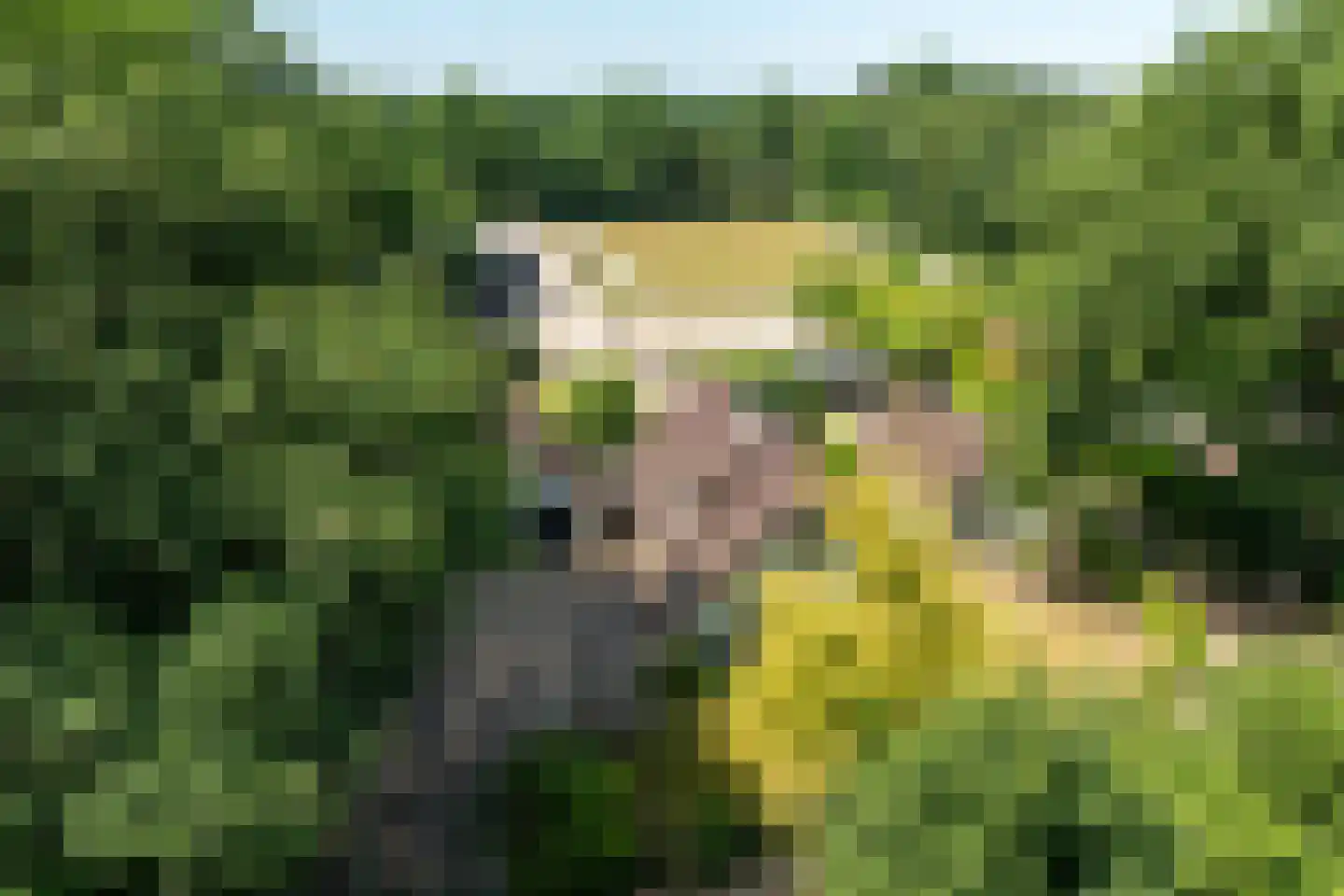Heetkamp 16 Elspeet thumbnail 61