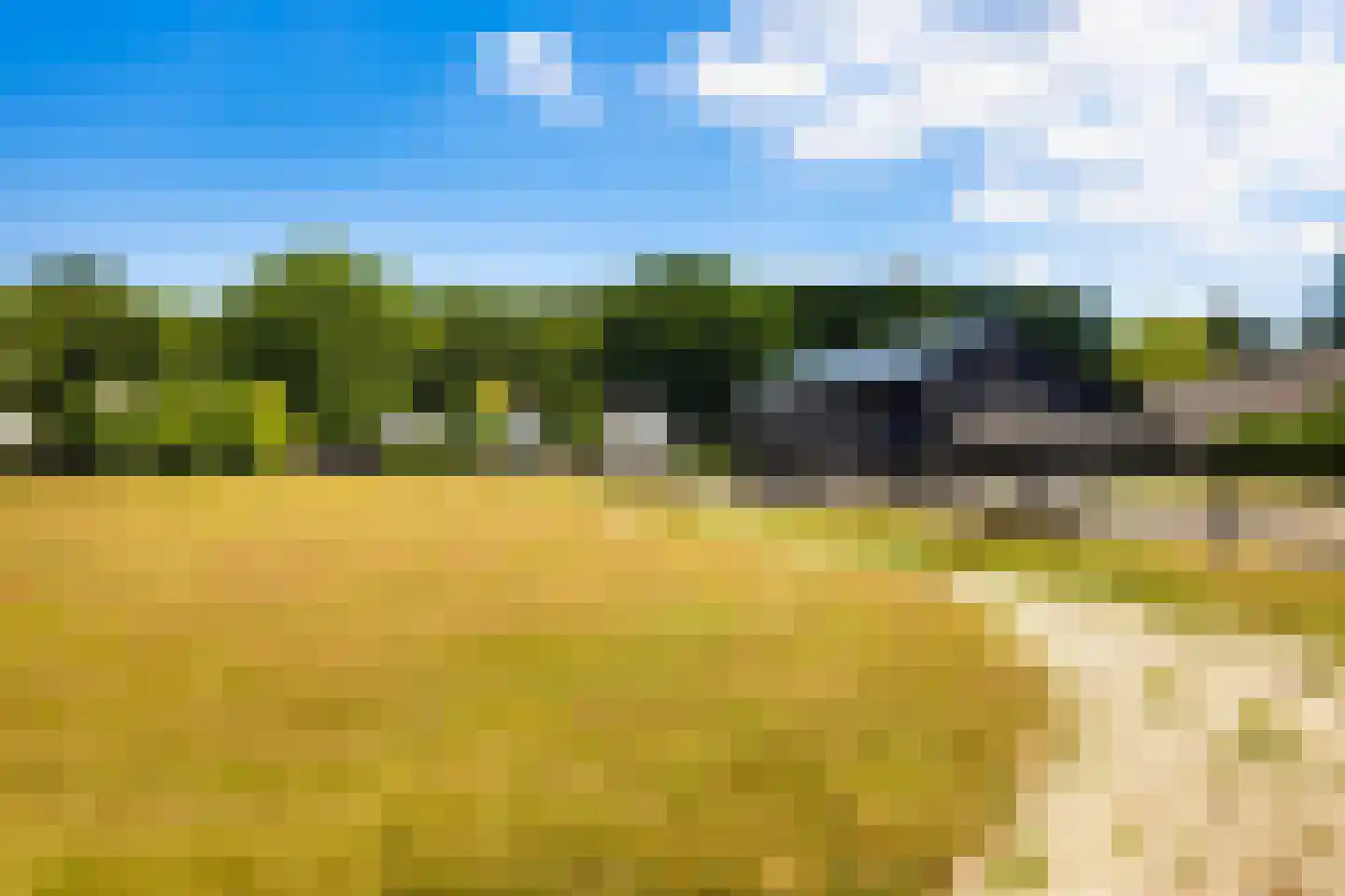 Heetkamp 16 Elspeet thumbnail 7