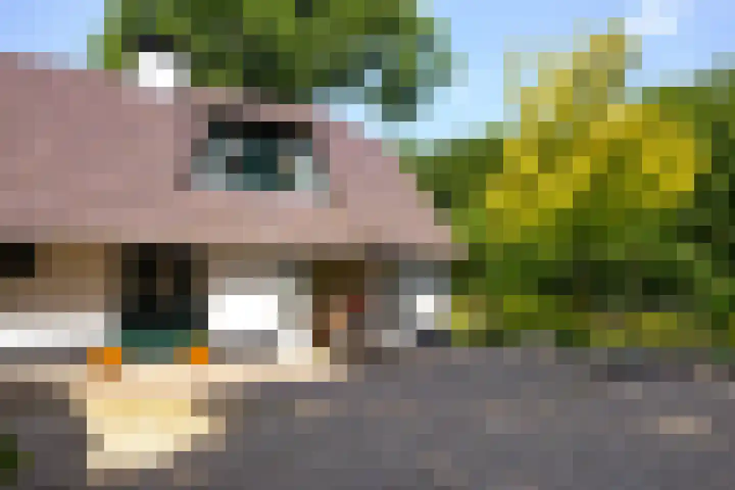 Heetkamp 16 Elspeet thumbnail 8