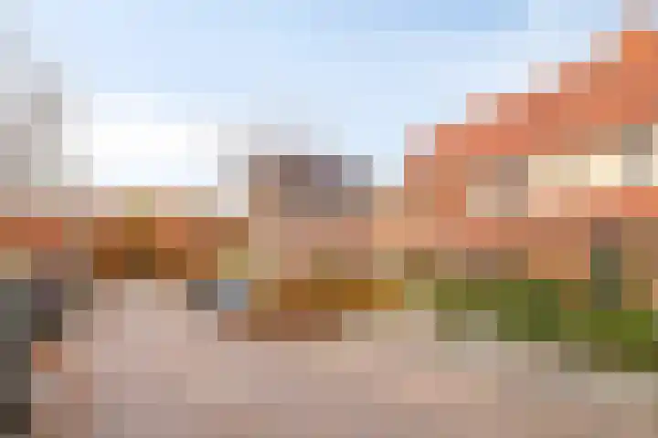Heetkamp 26 Heerde thumbnail 42