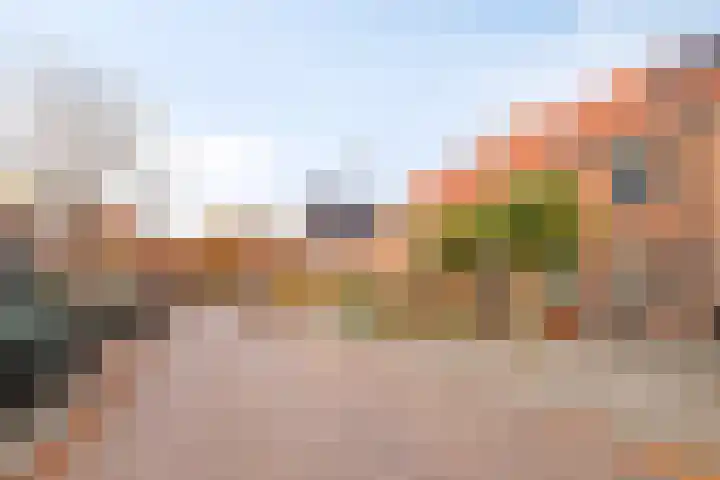Heetkamp 26 Heerde thumbnail 43