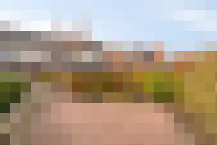 Heetkamp 26 Heerde thumbnail 5