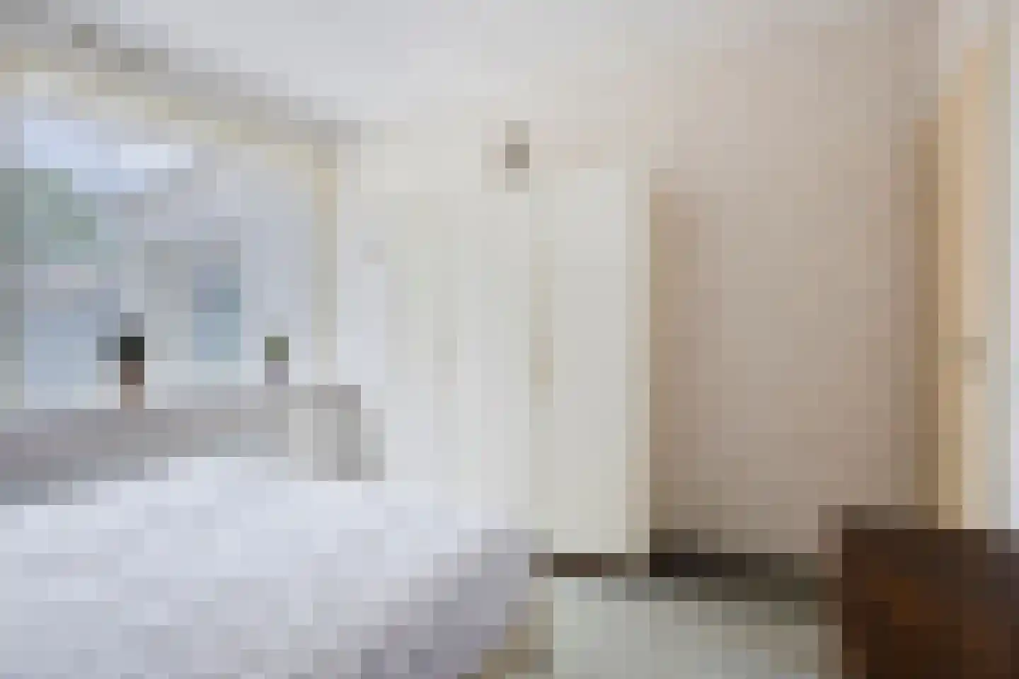 Heetkampsweg 4 Emst thumbnail 22