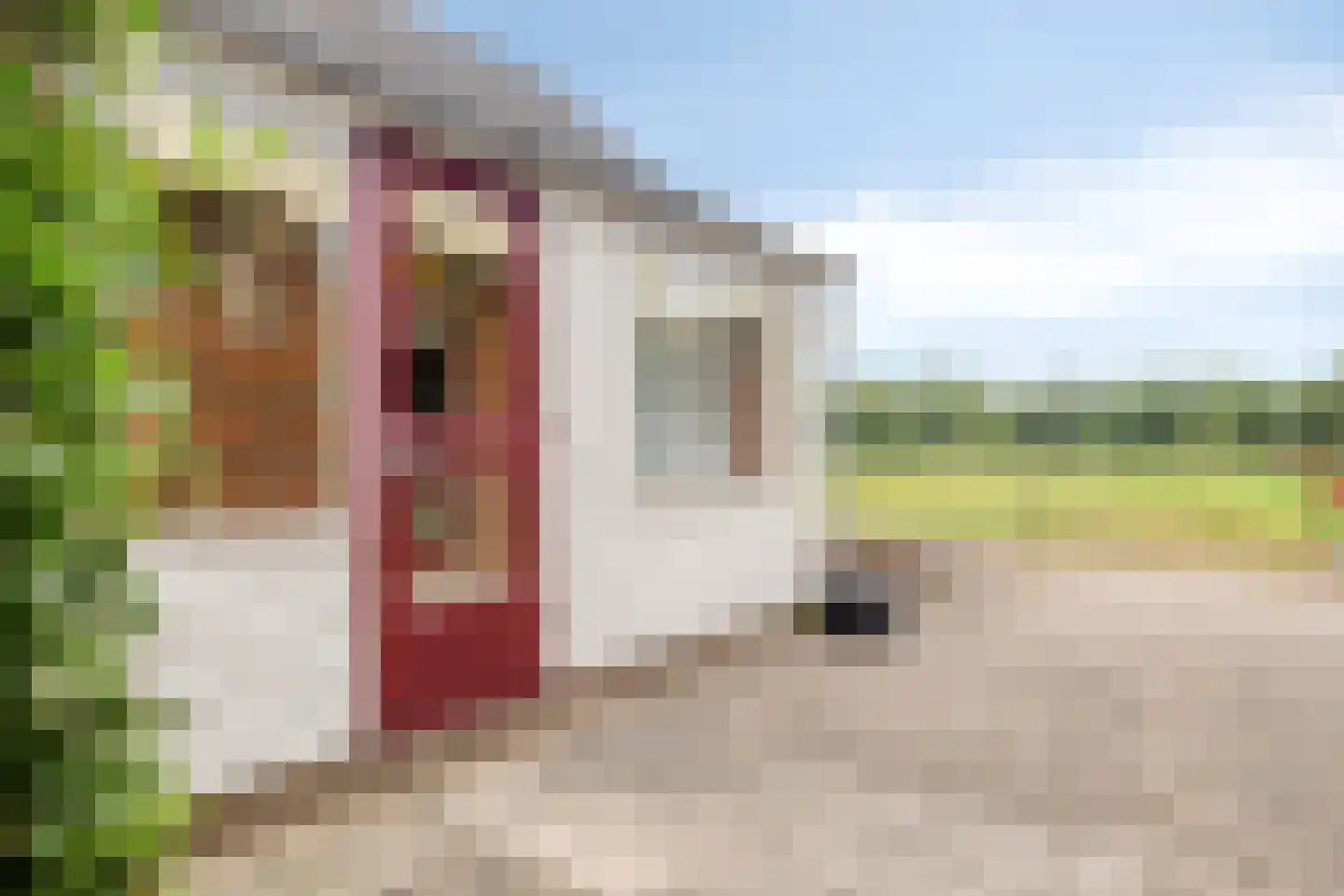 Heetkampsweg 4 Emst thumbnail 38