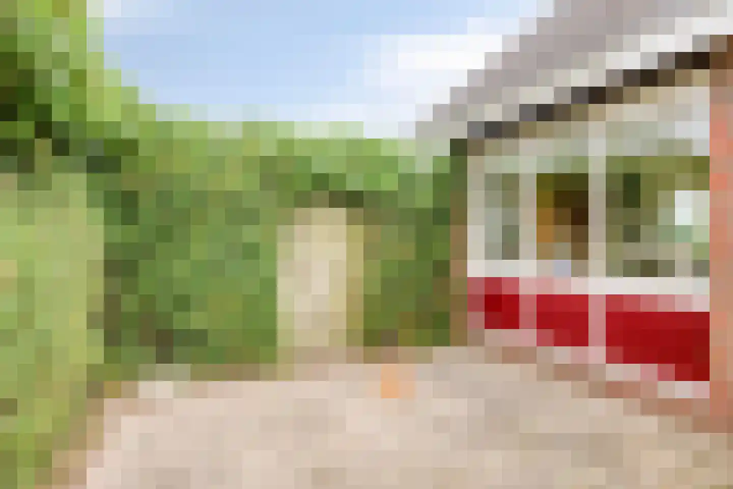 Heetkampsweg 4 Emst thumbnail 40