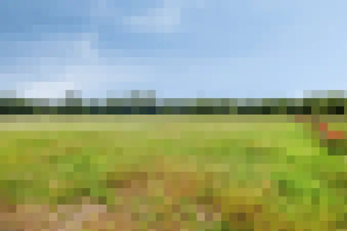 Heetkampsweg 4 Emst thumbnail 44