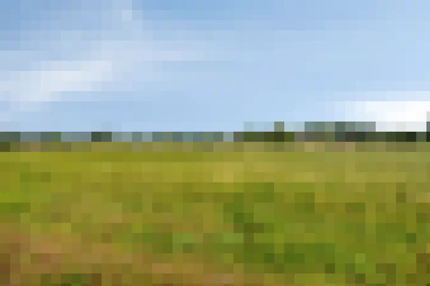 Heetkampsweg 4 Emst thumbnail 48
