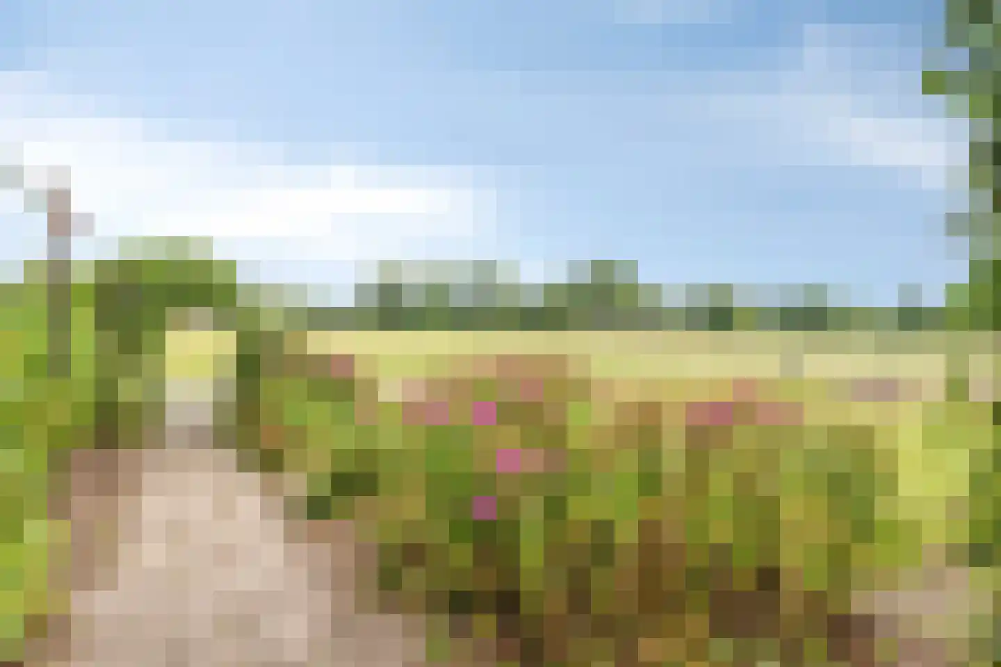 Heetkampsweg 4 Emst thumbnail 6