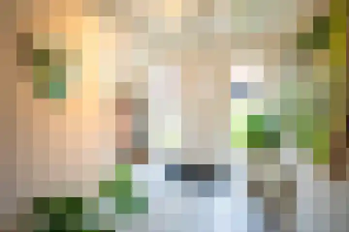 Heetkampsweg 6 Broekland thumbnail 22