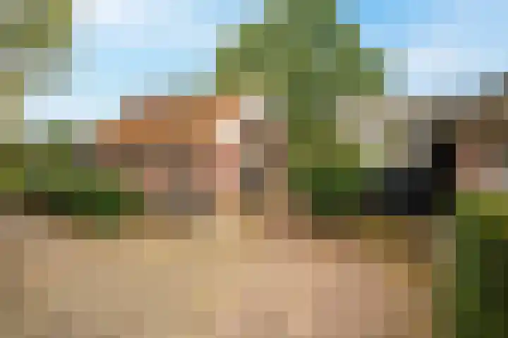 Heetkampsweg 6 Broekland thumbnail 27