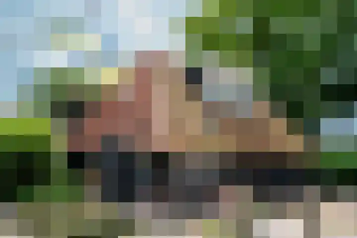 Heetkampsweg 6 Broekland thumbnail 29