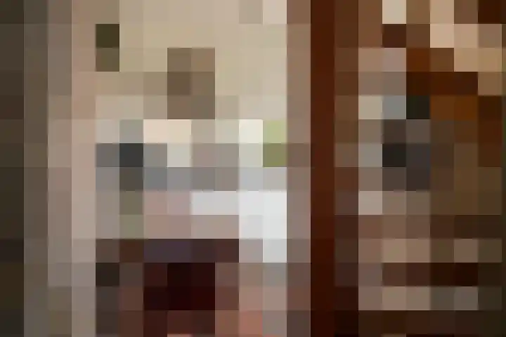 Heetkampsweg 6 Broekland thumbnail 30