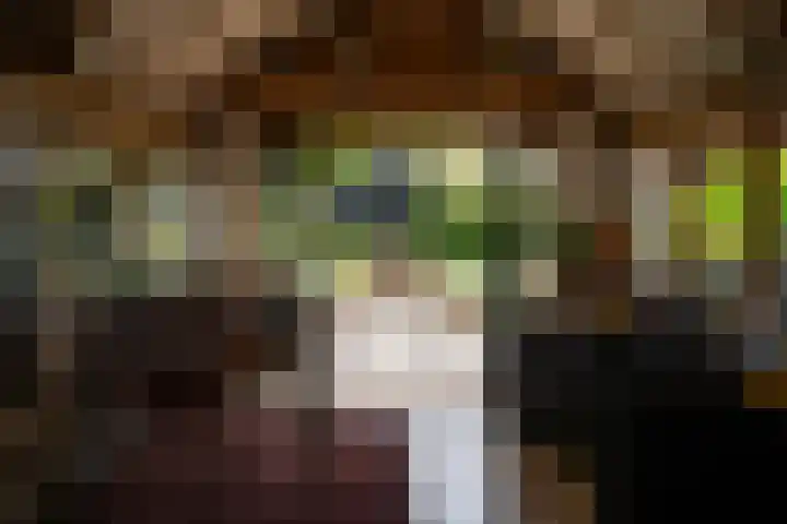 Heetkampsweg 6 Broekland thumbnail 37