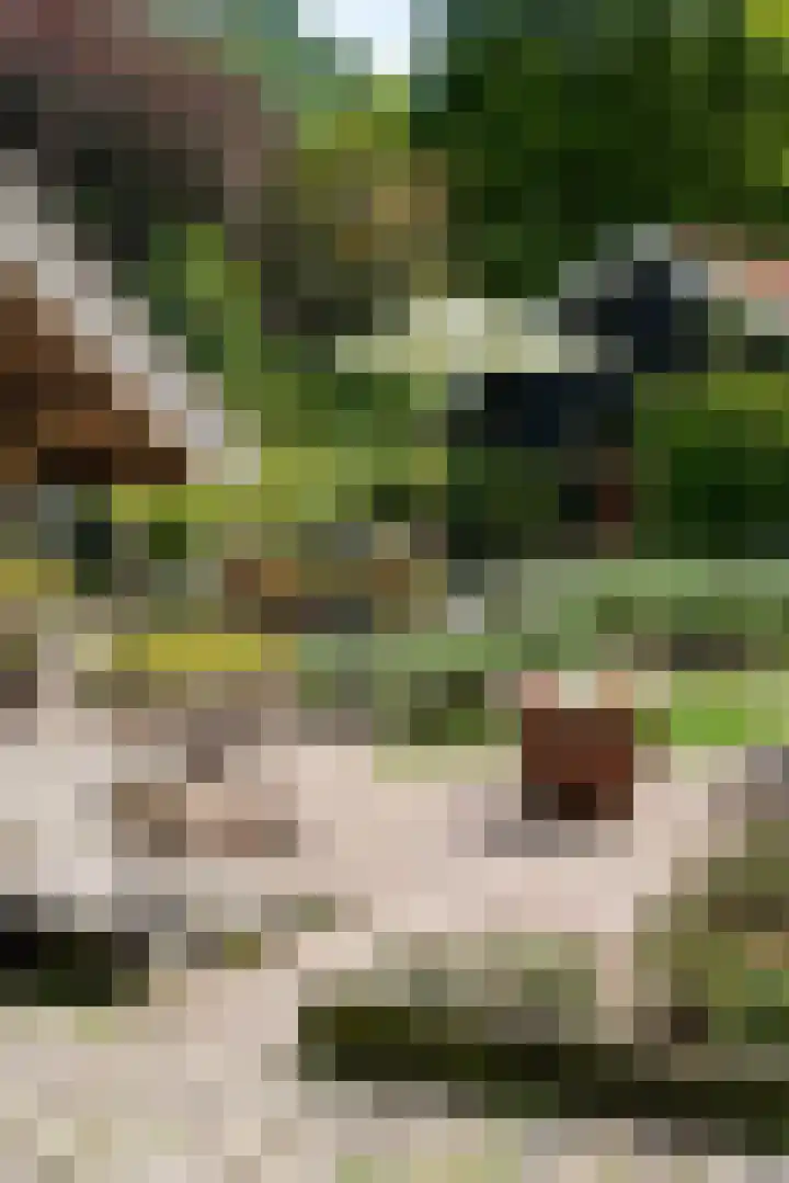 Heetkampsweg 6 Broekland thumbnail 38