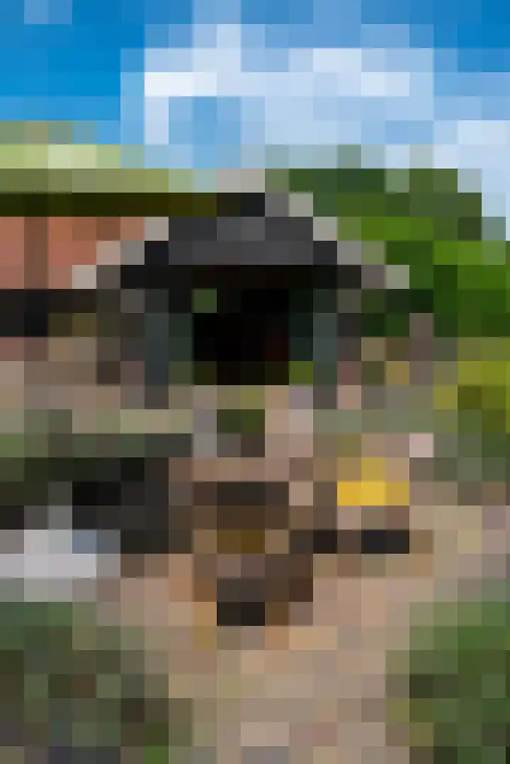 Heetkampsweg 6 Broekland thumbnail 39