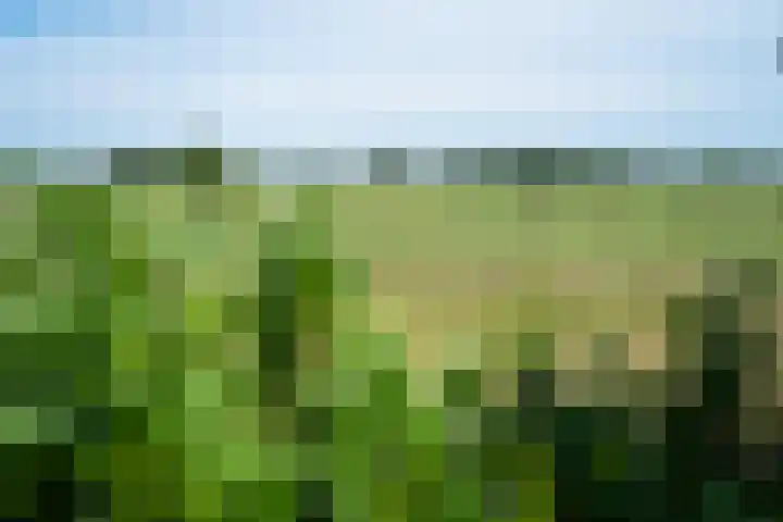 Heetkampsweg 6 Broekland thumbnail 40