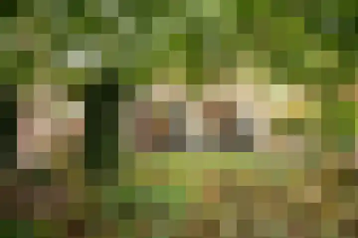 Heetkampsweg 6 Broekland thumbnail 41