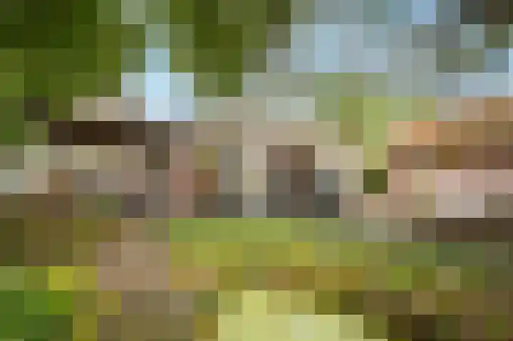 Heetkampsweg 6 Broekland thumbnail 42