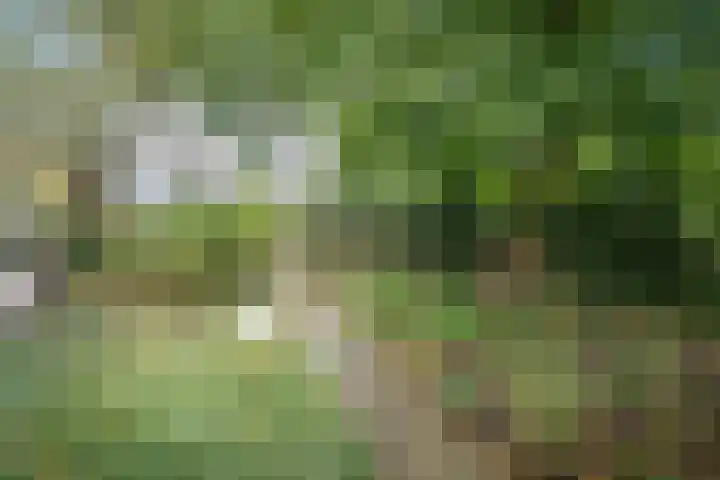 Heetkampsweg 6 Broekland thumbnail 44