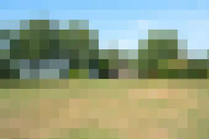Heetkampsweg 6 Broekland thumbnail 46