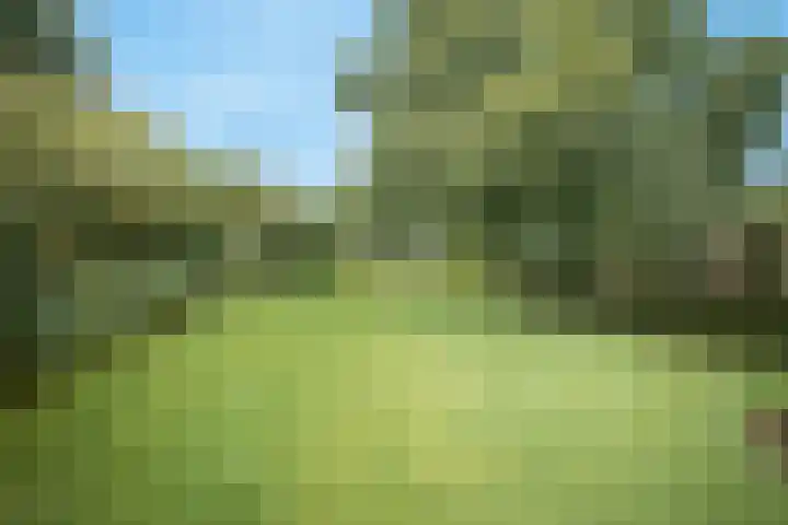Heetkampsweg 6 Broekland thumbnail 47