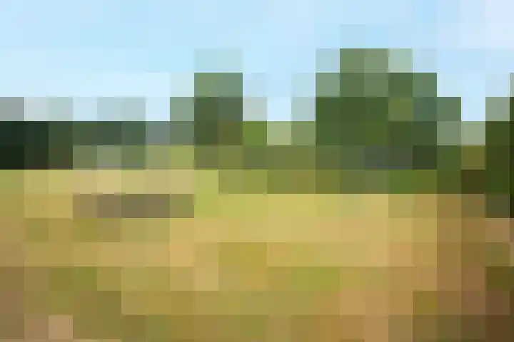 Heetkampsweg 6 Broekland thumbnail 48