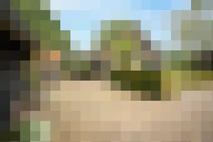 Heetkampsweg 6 Broekland thumbnail 49