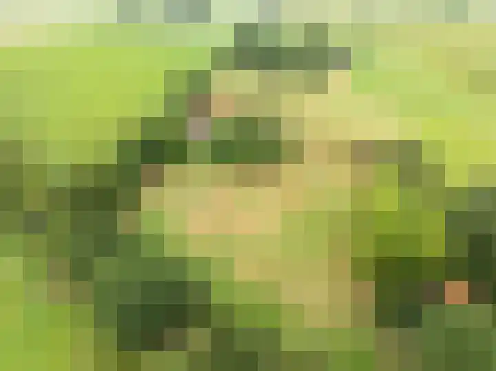 Heetkampsweg 6 Broekland thumbnail 5
