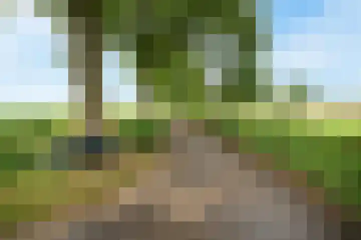Heetkampsweg 6 Broekland thumbnail 51