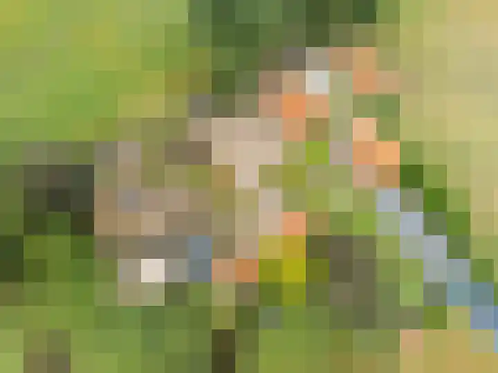 Heetkampsweg 6 Broekland thumbnail 52
