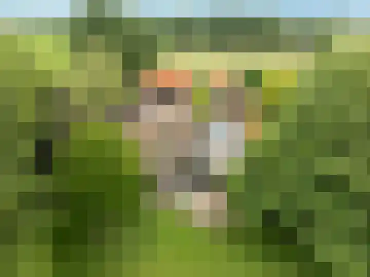 Heetkampsweg 6 Broekland thumbnail 53
