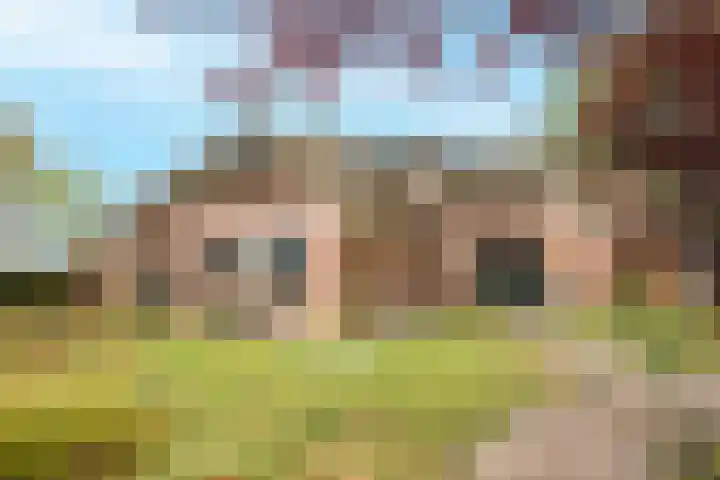 Heetkampsweg 6 Broekland thumbnail 56