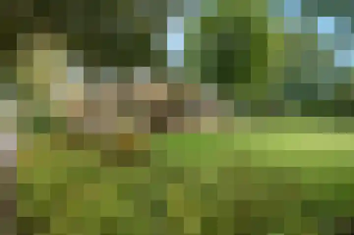 Heetkampsweg 6 Broekland thumbnail 57