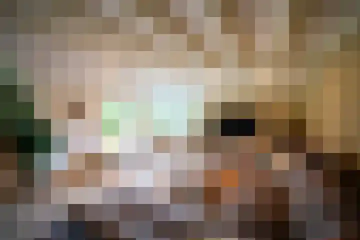 Heetkampsweg 6 Broekland thumbnail 6