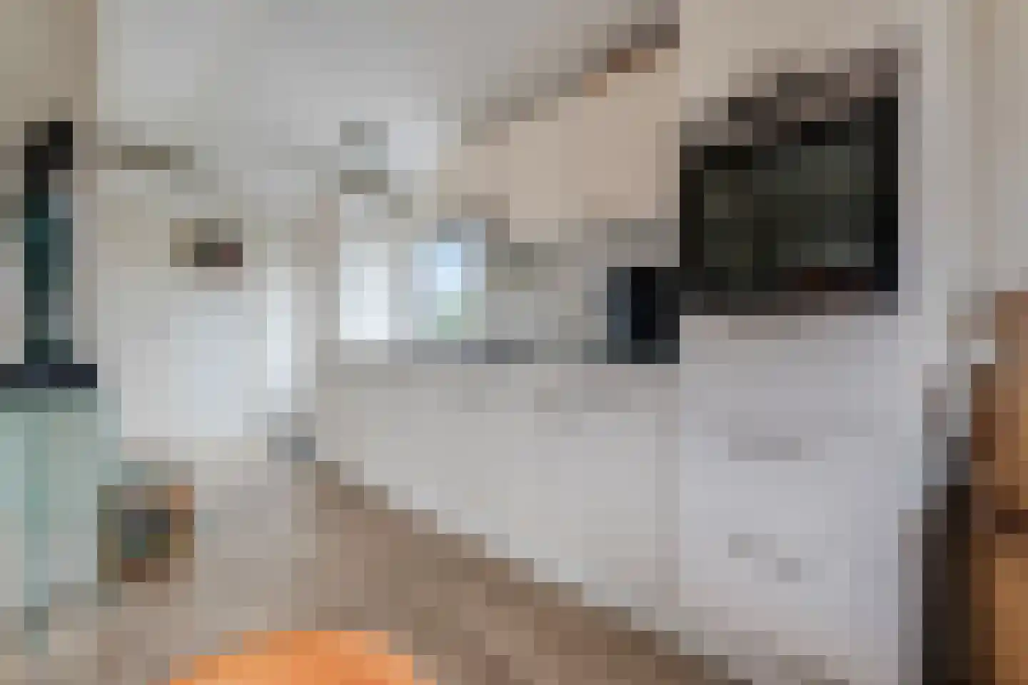 Heetveld 1 R 2 Sint Jansklooster thumbnail 11
