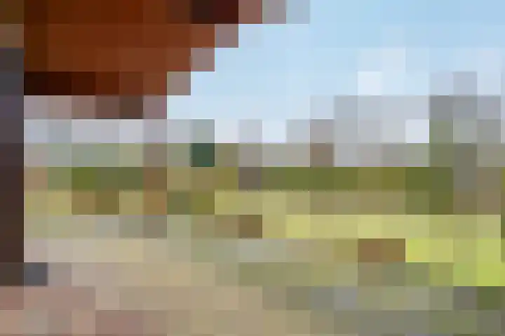 Heetveld 1 R 20 Sint Jansklooster thumbnail 10