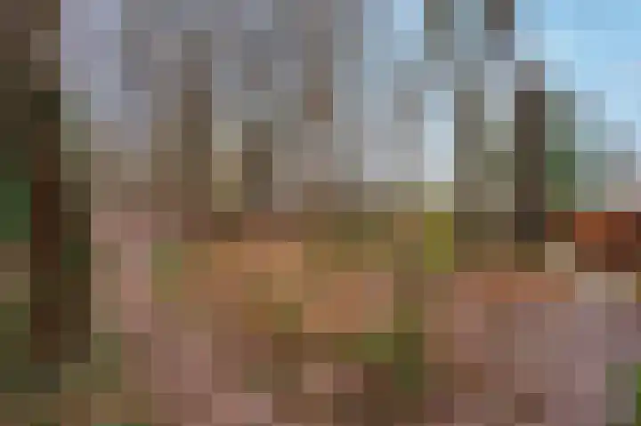Heetveld 1 R 20 Sint Jansklooster thumbnail 4
