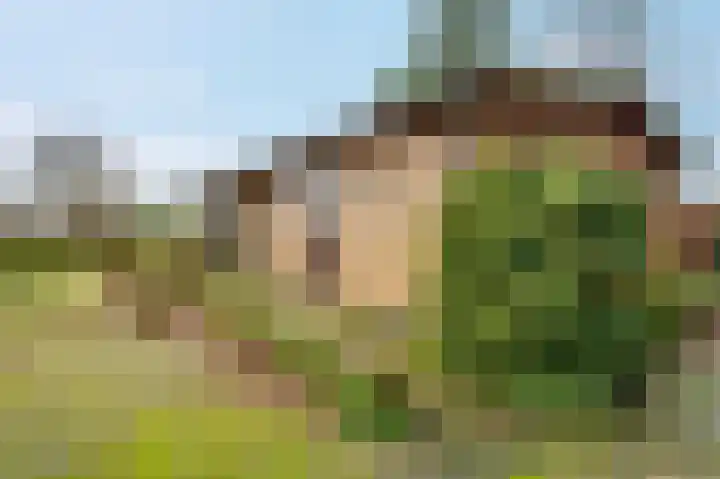 Heetveld 1 R 20 Sint Jansklooster thumbnail 6