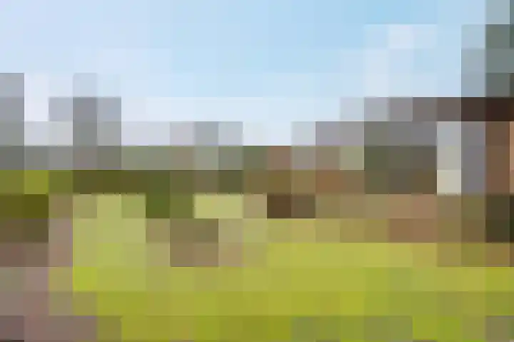 Heetveld 1 R 20 Sint Jansklooster thumbnail 7