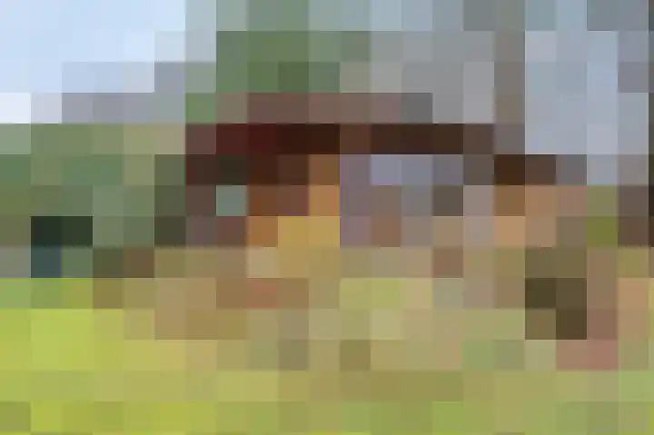 Heetveld 1 R 20 Sint Jansklooster thumbnail 8