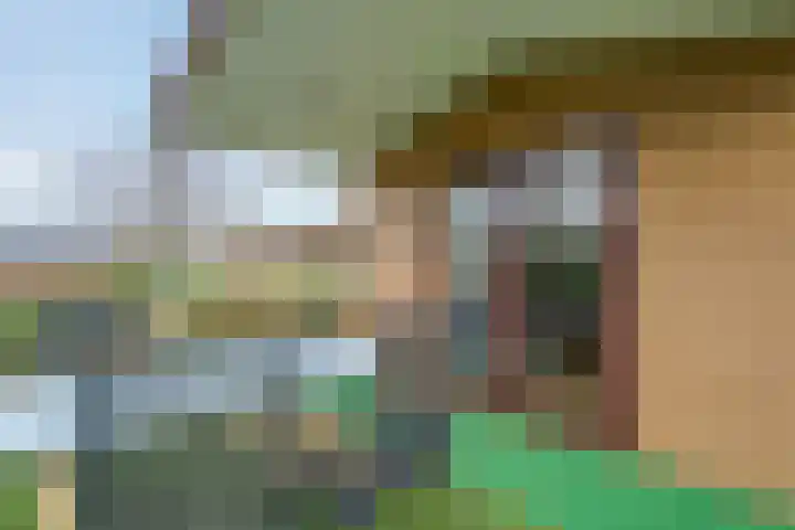 Heetveld 1 R 39 Sint Jansklooster thumbnail 10