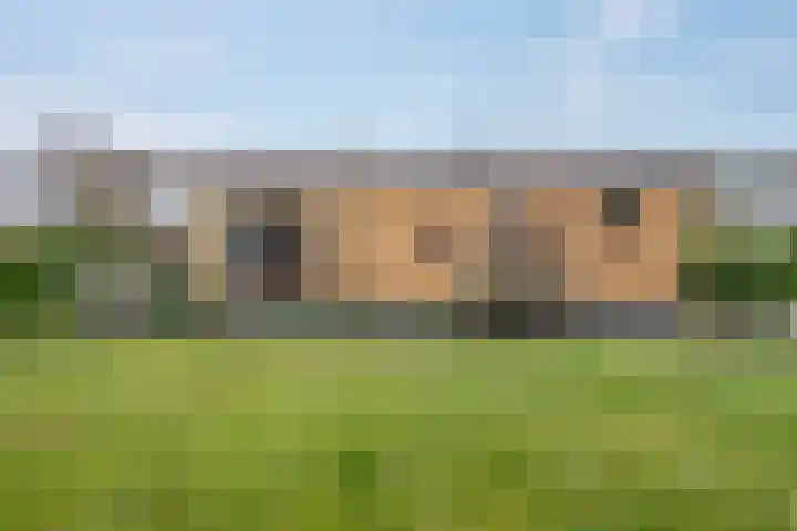 Heetveld 1 R 39 Sint Jansklooster thumbnail 4