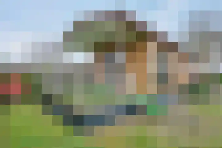 Heetveld 1 R 39 Sint Jansklooster thumbnail 6