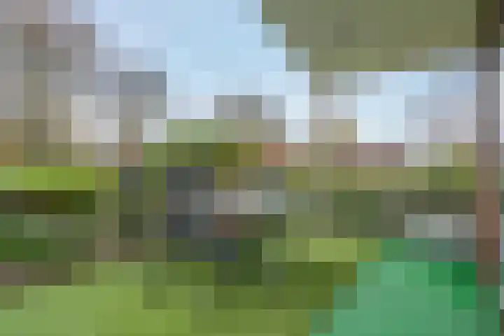 Heetveld 1 R 39 Sint Jansklooster thumbnail 7