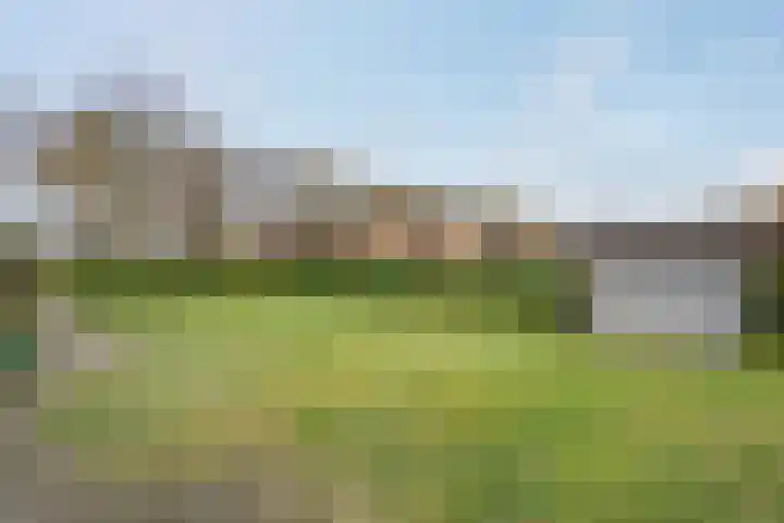 Heetveld 1 R 39 Sint Jansklooster thumbnail 9