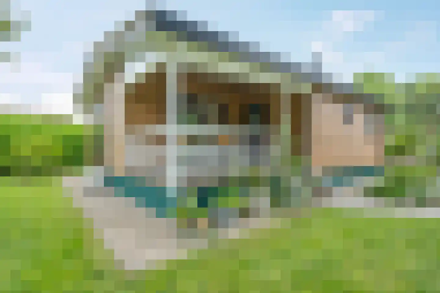 Heetveld 1 R 42 Sint Jansklooster thumbnail 10