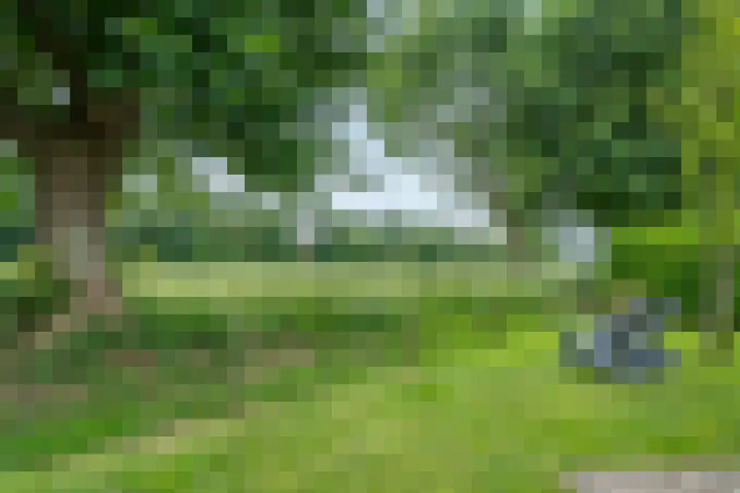Heetveld 1 R 42 Sint Jansklooster thumbnail 12